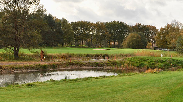 Golfbaan in Friesland