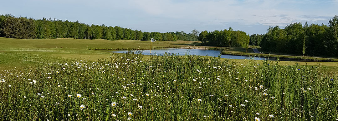 Golfen in Friesland