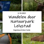 Wandelen door Natuurpark Lelystad