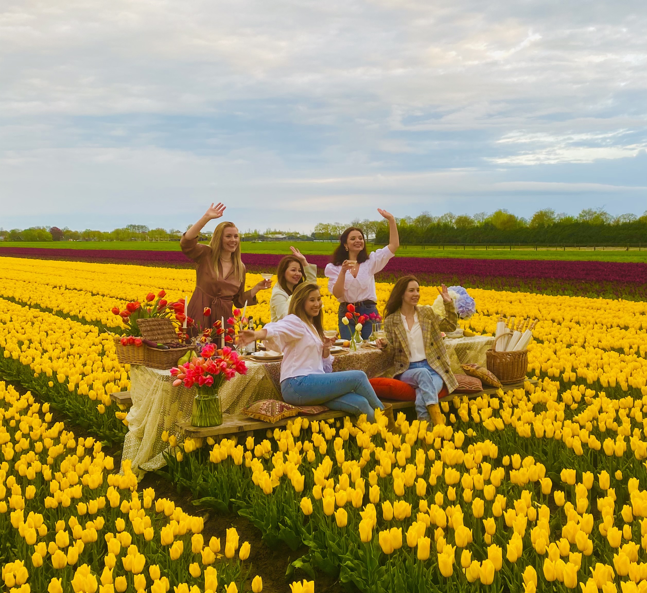 Tulip Tours Holland